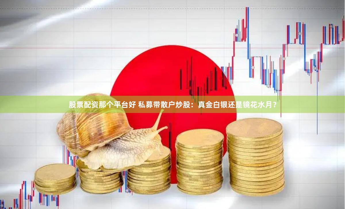 股票配资那个平台好 私募带散户炒股：真金白银还是镜花水月？